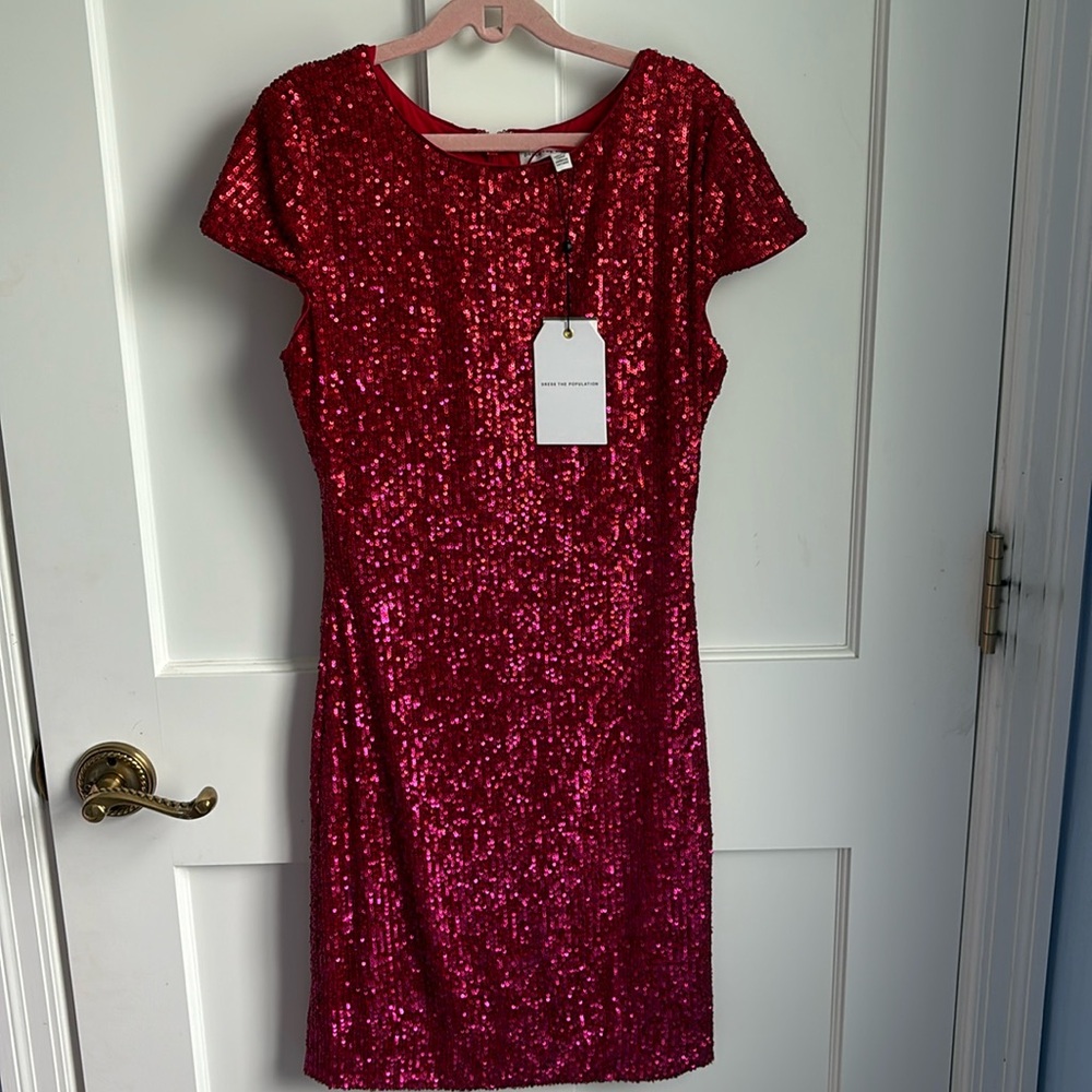 Dress The Population Brooks Dress - size: S - color: Rouge Red Multi